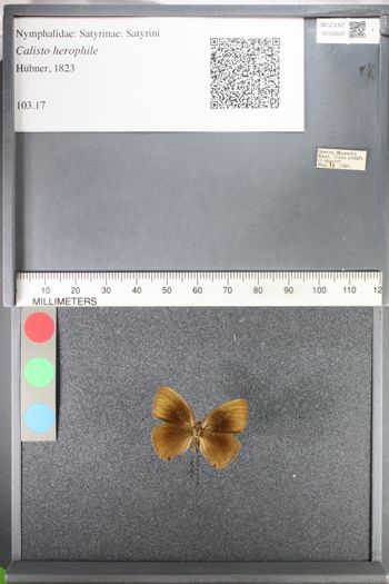 Media type: image;   Entomology 102620